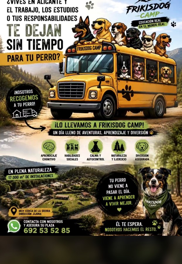 Concepto FrikisDog Camp